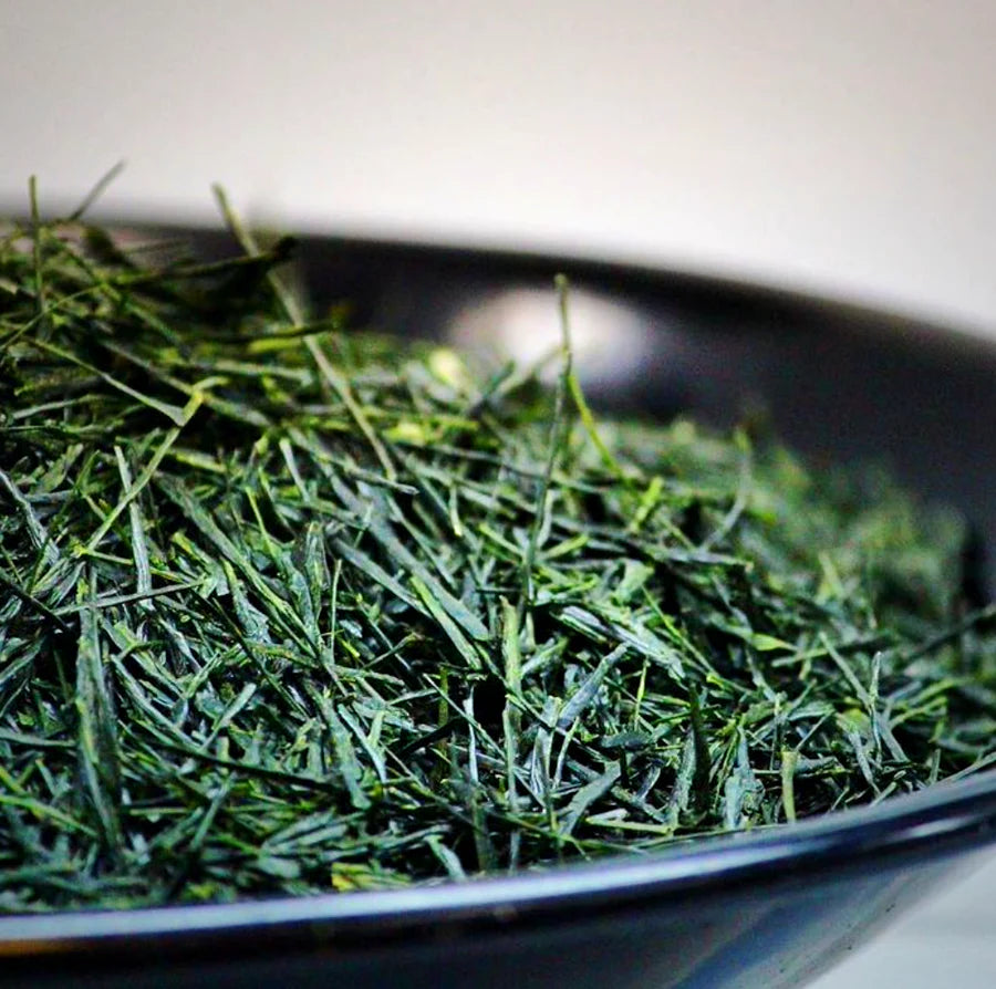 Thé Shincha Bio 100g – Anatae