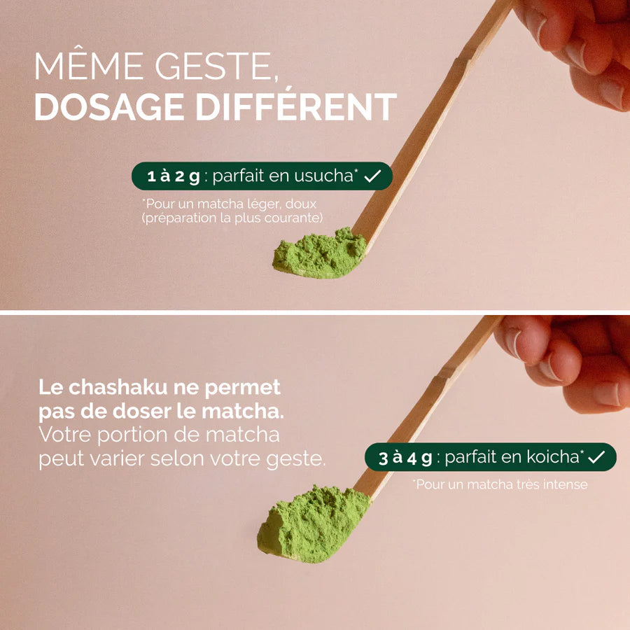 Chashaku - cuillère en bambou - Anatea